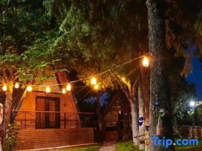 Pamukkale Apollon Garden - 114