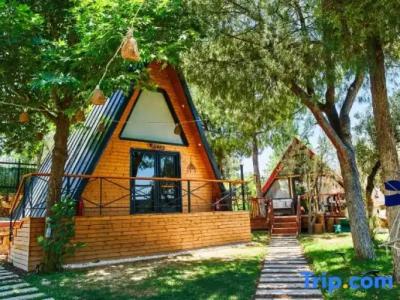 Pamukkale Apollon Garden - 115