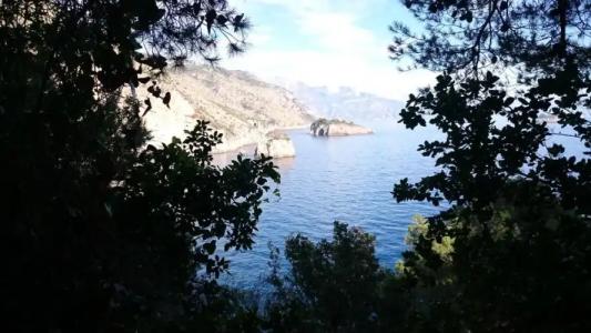 Villa L'ulivina - 55