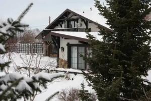Berendey House, Barnaul