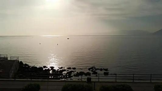 Nereidi - 10