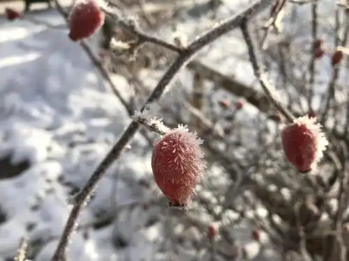 Hotel-Landgasthof Alter Wirt Leitzachtal - 87