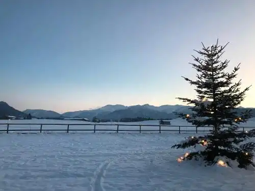 Hotel-Landgasthof Alter Wirt Leitzachtal - 89