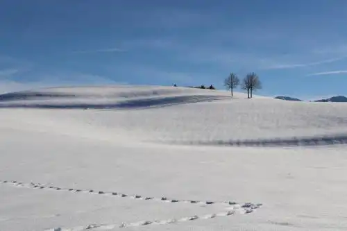 Hotel-Landgasthof Alter Wirt Leitzachtal - 85