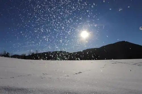 Hotel-Landgasthof Alter Wirt Leitzachtal - 86