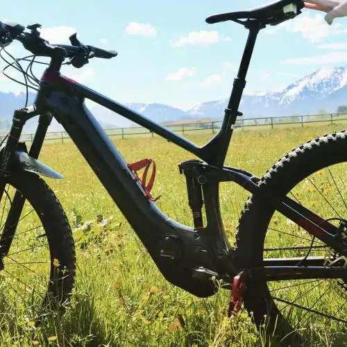 Hotel-Landgasthof Alter Wirt Leitzachtal - 63