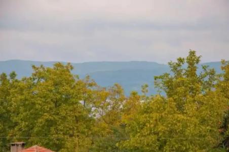 Room Room Motel - 42