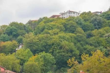 Room Room Motel - 43