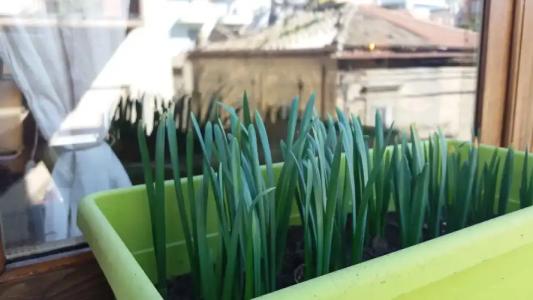 Le Stanze di Bruno - 14