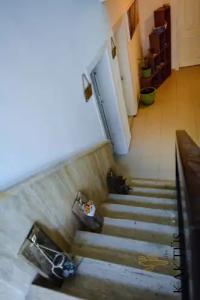 Kaktus Boutique Side - 11