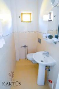 Kaktus Boutique Side - 19