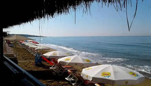 Kaktus Boutique Side - 13