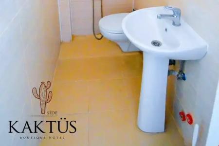 Kaktus Boutique Side - 7