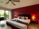 1 Bedroom Superior Apartment