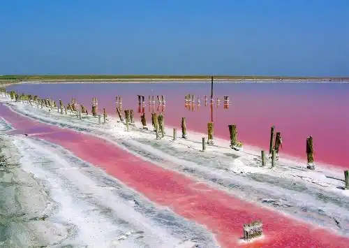 Пансионат Орлятко Корпус 4,8 - 52