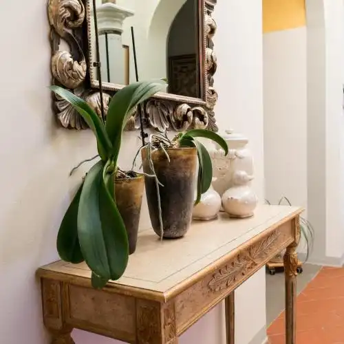 B&B La Zolla - 5
