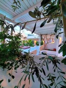 Ambience Suites - 29