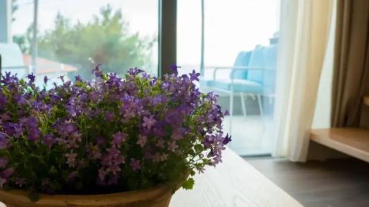 Costa Domus Blue Luxury Apartments - 129