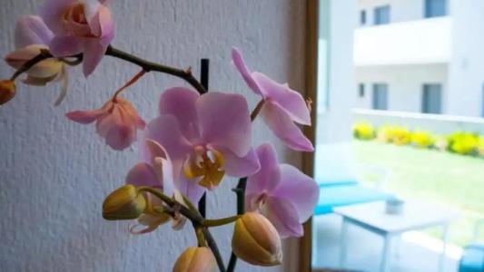 Costa Domus Blue Luxury Apartments - 197