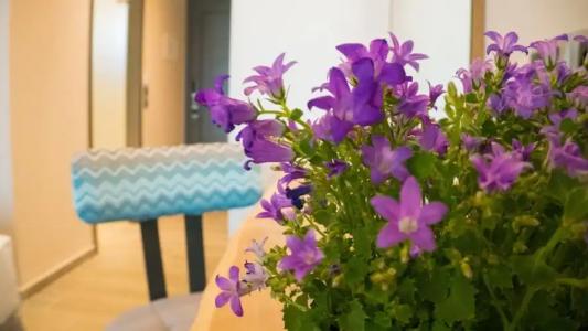 Costa Domus Blue Luxury Apartments - 153