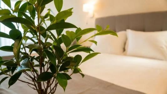 Costa Domus Blue Luxury Apartments - 146