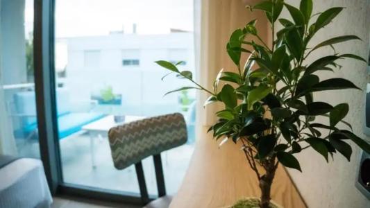 Costa Domus Blue Luxury Apartments - 167