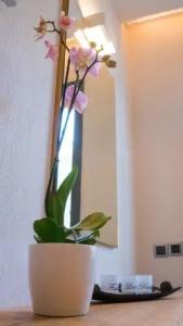 Costa Domus Blue Luxury Apartments - 55