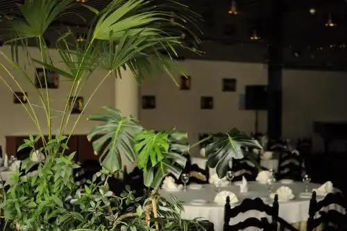 Salute Development - 27