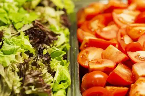 Salute Development - 38