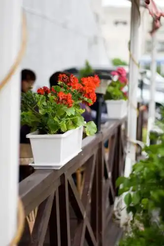 Salute Development - 26