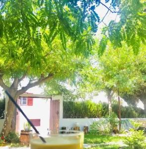 Giannakis Filoxenia - 7