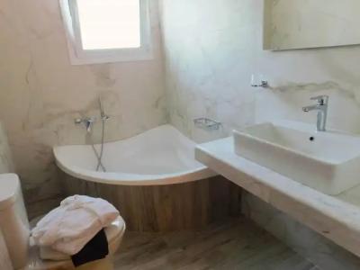 Apollon filoxenia - 32