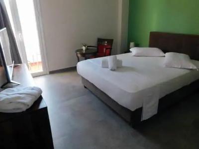 Apollon filoxenia - 28