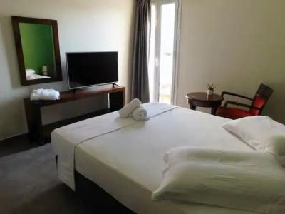 Apollon filoxenia - 27