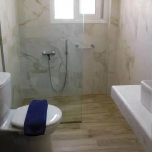 Apollon filoxenia - 22