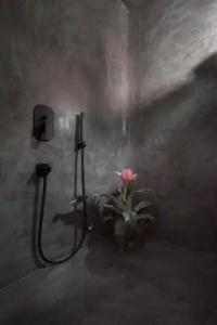 Sophia Boutique - 50