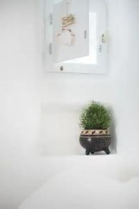 Sophia Boutique - 74