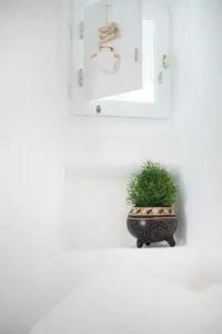 Sophia Boutique - 38