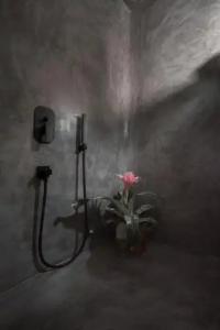 Sophia Boutique - 14