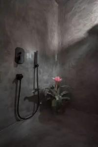 Sophia Boutique - 108