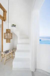 Sophia Boutique - 37