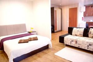 Volodarskogo 19, city center Apartments, Tambov