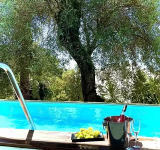 Mr & MRS White Corfu Couples Retreat Adults Only - 57