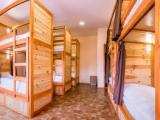 Bunk Bed in Mixed Dormitory Room