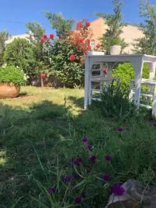 Zeyna Butik Otel - 25