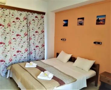 Stars - Adults Only - 2