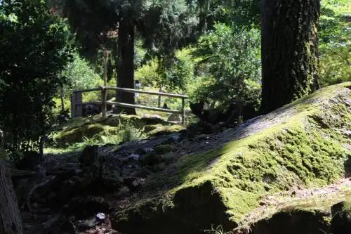 Eco-Resort Parco Botanico Fiorlago - 41
