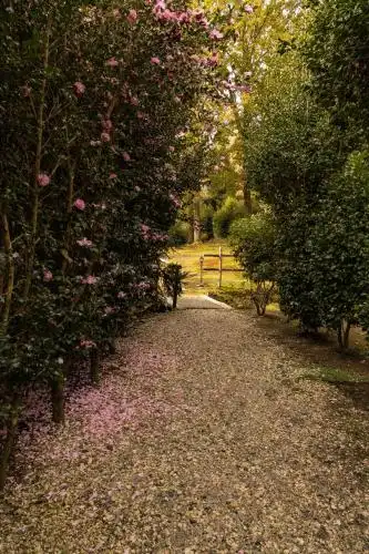 Eco-Resort Parco Botanico Fiorlago - 21