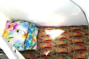 Camping Zara, Khuzhir