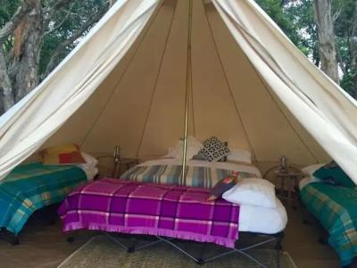 Camping Zara - 1